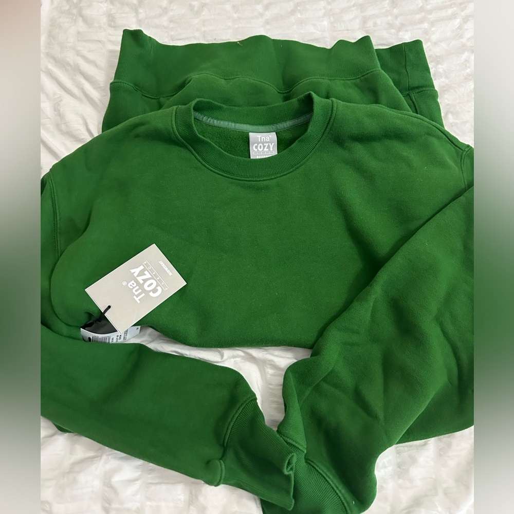 Aritzia TNA Cozy boyfriend crewneck juniper green